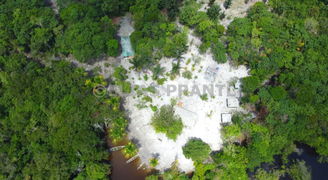 Grupo de viajantes na floresta amazônica